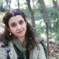 Sheida Nazari Mofrad