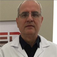 Alfredo Ernesto Stefani