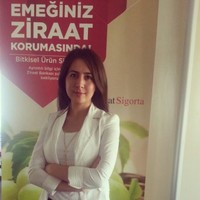 Ni̇hal Kurt