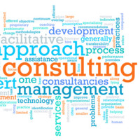 Brolly Consulting LLC