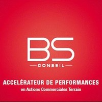 BS CONSEIL