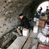 Andrea Livio Luppino