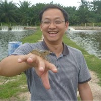 Yang Yong