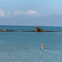 Yuval Levi