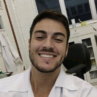 Luis Felipe Simões De Sousa Pinto