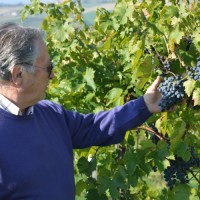 Pierluigi Carminucci