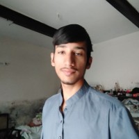 Ali Raza Searching Engine Optimization Expert