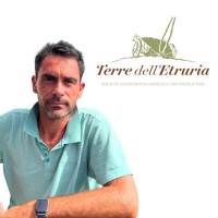 Davide Bacci