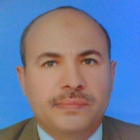 Fathi Ali
