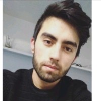 Orhan Gök