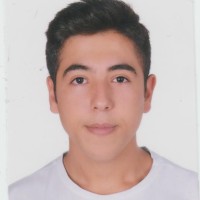 Mert Demir