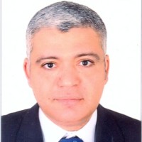 Mohamed Negm