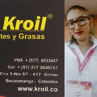 deisy johanna mendez