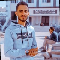 Sayed Shawki