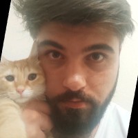 Ulaş Özçelik