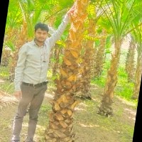 M.S Nursery Enterprises