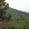 Nature Lovers