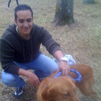 William Giovanni Cifuentes Cortes