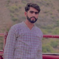 Muhammad Saqib