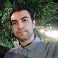 Mohammad Hossein Amiri