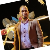 Mahmoud Elmihy