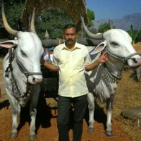 Milind Zambare