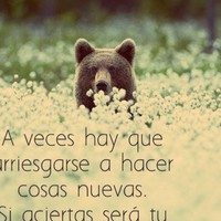 Ingrid G_monge