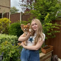 Hollie jo Beal