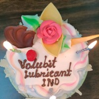 Volubit Industries