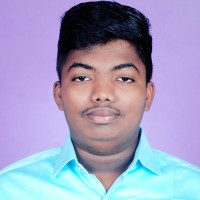 Gokul Pandian S