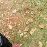 Shubham Awasthi