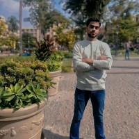 HOSSAM ELDIEN mostafa