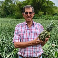 Carlos Pacheco