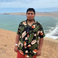 Hammerly Ruiz Cayao