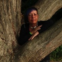 Karin Bermel