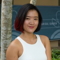 Kiki Weng