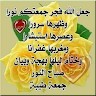 Mohamed Atefi