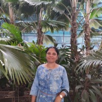 Vandana Manandi