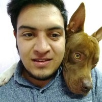 Moises Vazquez