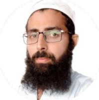 Zeeshan Junior Web Developer
