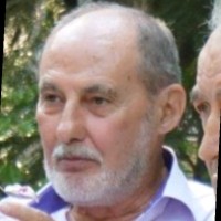 Ionel Preda