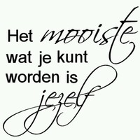 Karin de Koster