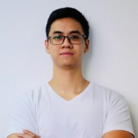 Việt Hưng Nguyễn, PMP