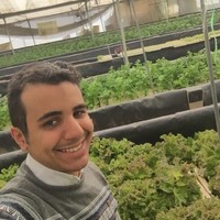 Omar Farghal