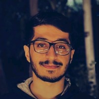 Sina Mahmudi