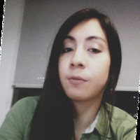 Karen Palacios Morales