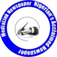 Medialink Newspapar
