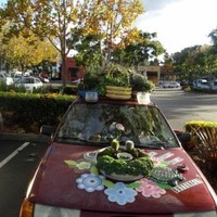 Catalexis Jazz o'Sullivan Svensson