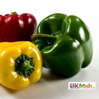 UK FRESH LTD