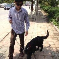 胡文广